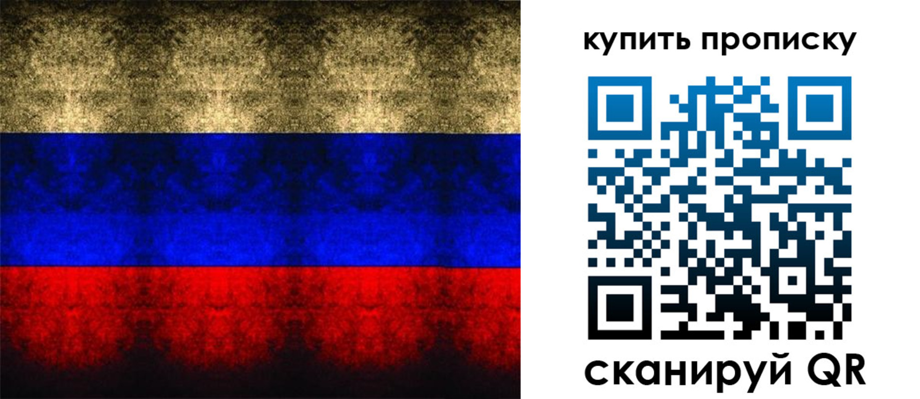 прописка в Чудово